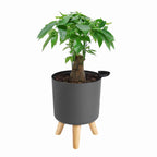 Minimalist Indoor Plant Pot Self Watering Plastic Planter with Wooden Legs Modern round Container for Home Decor
