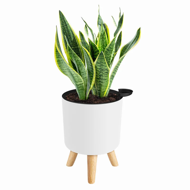 Minimalist Indoor Plant Pot Self Watering Plastic Planter with Wooden Legs Modern round Container for Home Decor