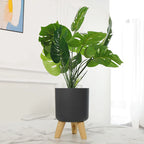 Minimalist Indoor Plant Pot Self Watering Plastic Planter with Wooden Legs Modern round Container for Home Decor